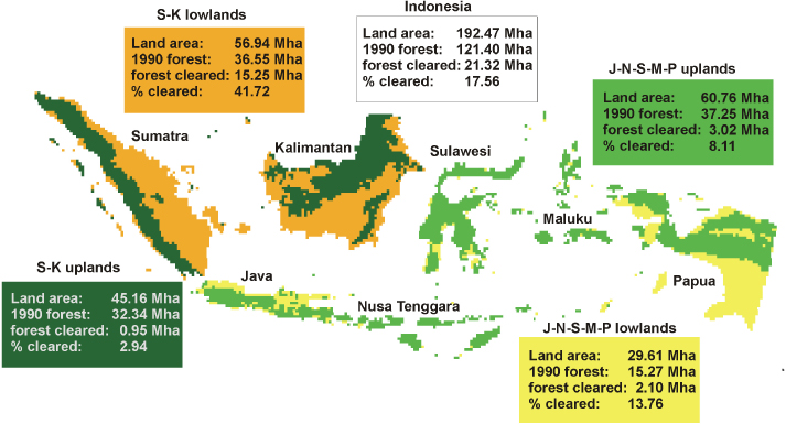 New study on deforestation in Indonesia  Borneo Orangutan 